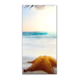 foto-na-szkle-grafika-50x100-karaiby-slonce-plaza