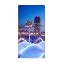 foto-na-szkle-na-sciane-60x120-barcelona-swiatla