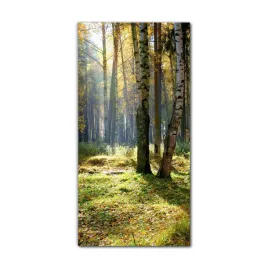 foto-obraz-na-szkle-na-sciane-60x120-cm-jesien-las