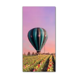 foto-obraz-szklany-do-salonu-60x120-tulipany-balon