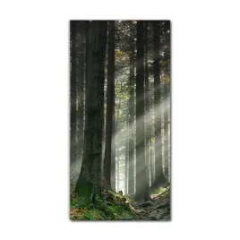 obraz-na-szkle-nowoczesny-60x120-las-mgla-natura