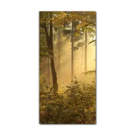 foto-obraz-na-szkle-do-kuchni-60x120-jesien-mgla