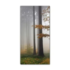 foto-obraz-na-szkle-na-sciane-60x120-natura-jesien