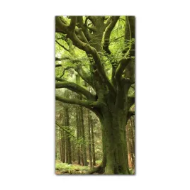 obraz-na-szkle-grafika-do-salonu-60x120-las-zielen