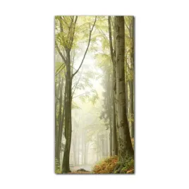 foto-obraz-szklany-do-salonu-60x120-cm-mgla-jesien