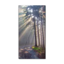 obraz-na-szkle-do-kuchni-60x120-las-mgla-swiatlo