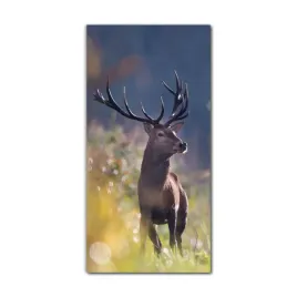 obraz-na-szkle-do-kuchni-60x120-cm-dzikie-zwierze