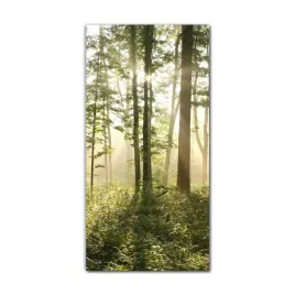 foto-obraz-na-szkle-do-kuchni-60x120-slonce-mgla