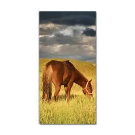 foto-obraz-na-szkle-nowoczesny-60x120-kon-natura