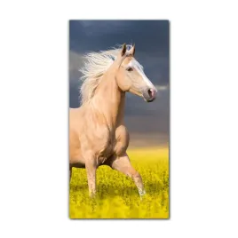 foto-obraz-na-szkle-nowoczesny-60x120-kon-palomino
