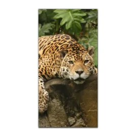 obraz-szklany-scienny-do-kuchni-50x100-jaguar-kot