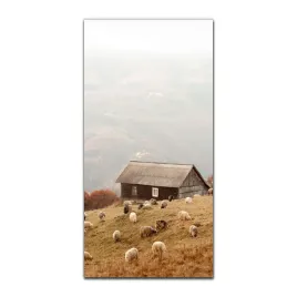 foto-szklane-na-sciane-50x100-owce-natura-jesien