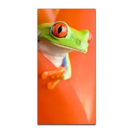 foto-obraz-na-szkle-do-kuchni-50x100-zaba-natura