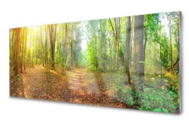 obraz-na-szkle-szklany-las-natura-drzewa-125x50