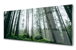 obraz-na-szkle-szklany-las-natura-drzewa-125x50