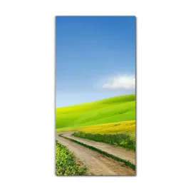 foto-obraz-szklany-do-salonu-60x120-kwiatki-laka