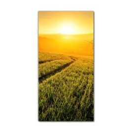 obraz-szklany-grafika-do-salonu-60x120-laka-natura
