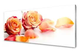 obraz-na-szkle-roze-kwiaty-roslina-szklany-125x50