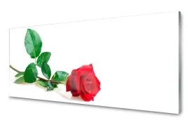 obraz-na-szkle-roza-kwiat-roslina-natura-125x50