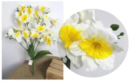 bukiet-zonkil-wys-62-cm-11-lodyg-33-kwiaty-ok-11-cm-bialy-z-zoltym-srod