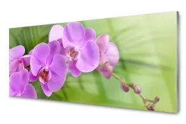 obraz-szklany-storczyk-orchidea-kwiaty-foto-125x50