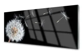 obraz-na-szkle-dmuchawiec-kwiaty-natura-125x50