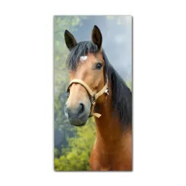 obraz-na-szkle-nowoczesny-70x140-cm-kon-grzywa-las