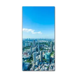 foto-obraz-szklany-do-salonu-60x120-tokio-horyzont