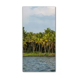 obraz-na-szkle-na-sciane-60x120-natura-tropikalna