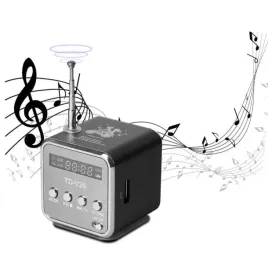 przenosne-radio-fm-wielofunkcyjne-i-bezprzewodowe