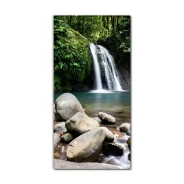 foto-obraz-na-szkle-do-kuchni-60x120-gwadelupa-las