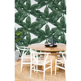 fototapeta-do-salonu-lisc-banana-kwiaty-416x254-cm