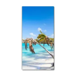 foto-obraz-szklany-do-salonu-60x120-zatoka-ocean