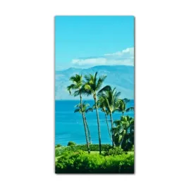 obraz-szklany-scienny-do-kuchni-60x120-wyspa-maui