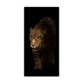 obraz-na-szkle-do-kuchni-60x120-jaguar-safari-noc
