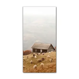 foto-szklane-na-sciane-60x120-owce-natura-jesien