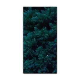 obrazy-szklane-do-kuchni-70x140-cm-drzewa-natura