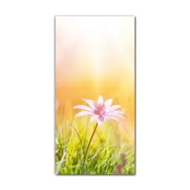obraz-na-szkle-do-kuchni-70x140-stokrotki-wiosna