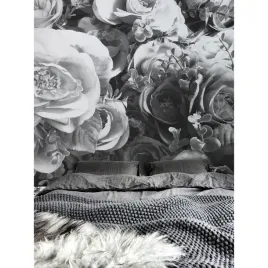 fototapeta-sciagalna-czarno-biale-roze-416x254-cm
