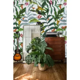 fototapeta-tropikalne-liscie-monstera-416x254-cm