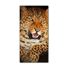 foto-obraz-szklany-do-salonu-60x120-leopard-afryka