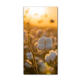 foto-obraz-na-szkle-na-sciane-70x140-pole-kwiatow