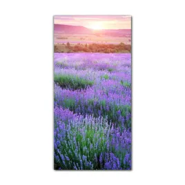 foto-obraz-na-szkle-nowoczesny-70x140-lawenda-laka