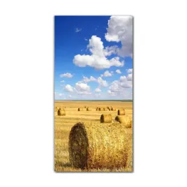 foto-obraz-na-szkle-do-kuchni-70x140-siano-rosliny