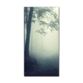 obraz-na-szkle-grafika-do-salonu-70x140-mgla-las