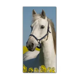 obraz-na-szkle-nowoczesny-70x140-kon-pole-natura