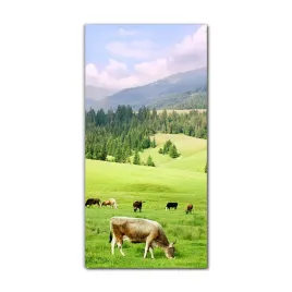 foto-obraz-scienny-grafika-70x140-karpaty-natura