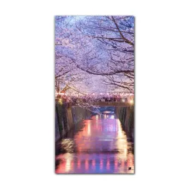 foto-obraz-na-szkle-na-sciane-70x140-tokio-sakura