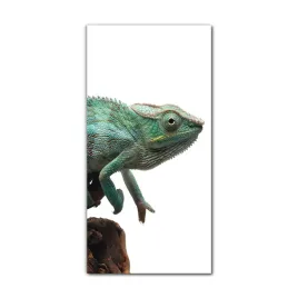 foto-obraz-na-szkle-do-kuchni-70x140-kameleon-gad