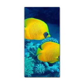 foto-obraz-scienny-grafika-70x140-tropikalne-ryby